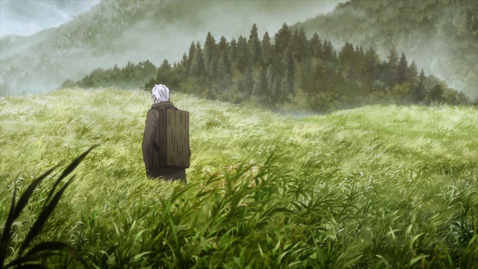 Le guérisseur errant Ginko se promène dans les forêts vierges de Mushi-Shi