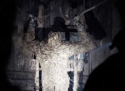 Moder Ritual Movie Hokum's Monster Is the Genre’s Most Terrifying Creation