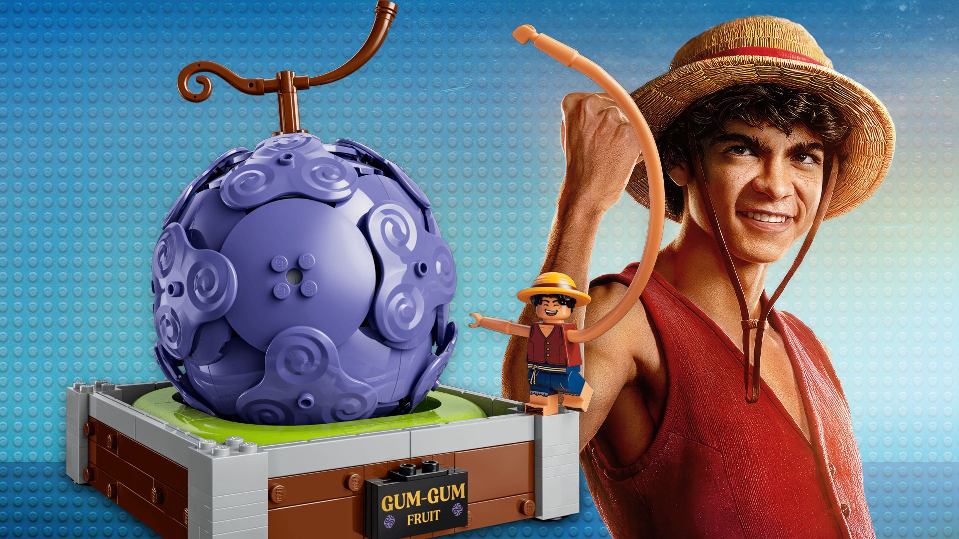 LEGO Reveals the First Official One Piece Set of 2026 for New