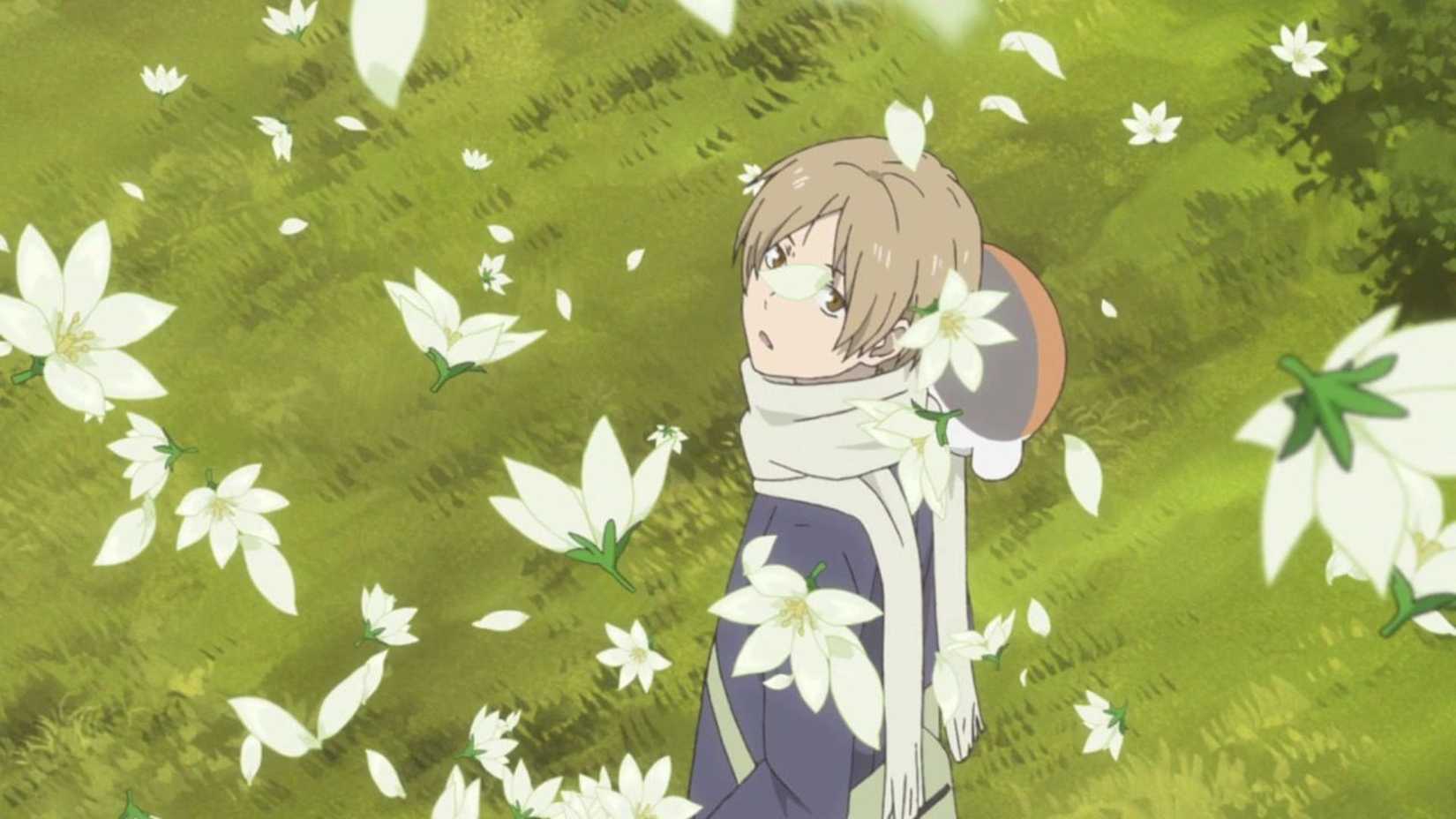 Natsume looks at the sky while roaming in a meadow as flowers fall in Natsume's Book of Friends.