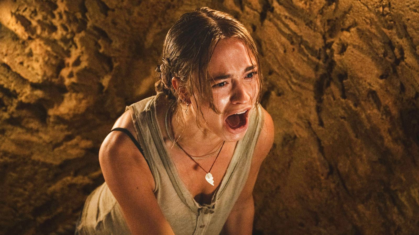 Horror Movie Primate Becomes an Instant Streaming Success on Paramount+