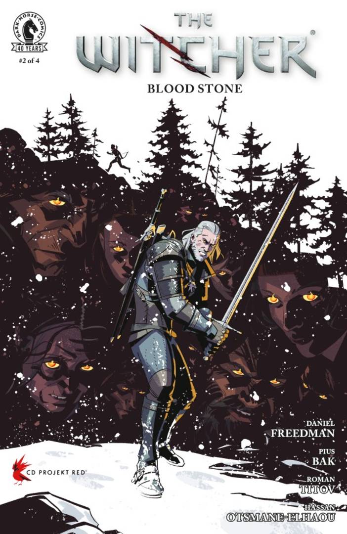 The Witcher Blood Stone 2 cover full