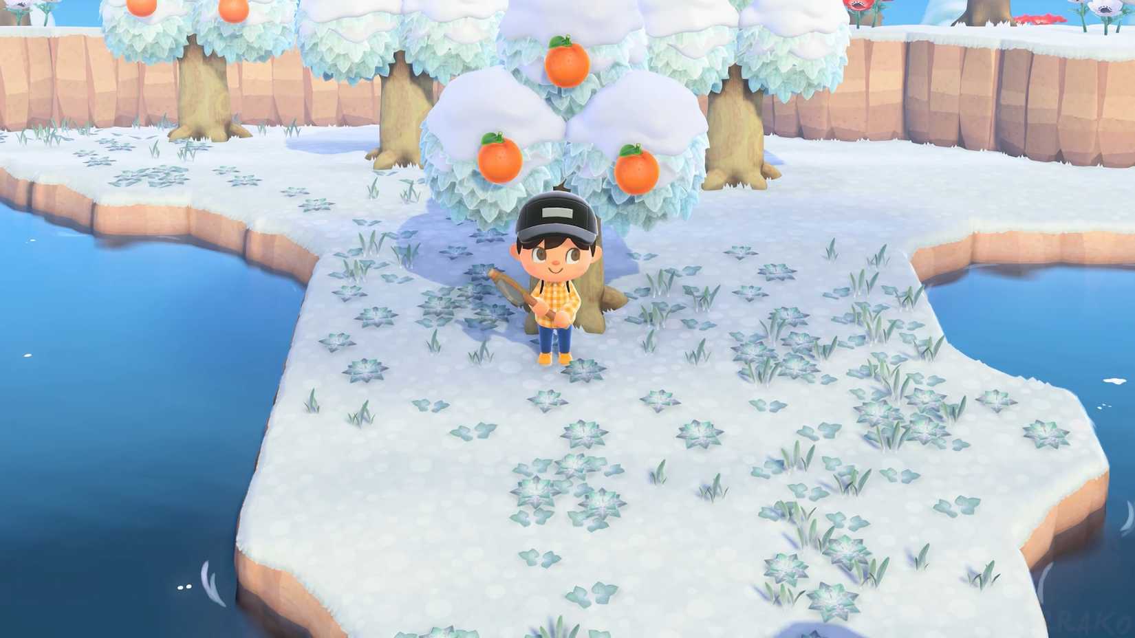 Tangkapan layar Animal Crossing New Horizons menampilkan seorang penduduk desa di lingkungan bersalju, berdiri di depan pohon jeruk