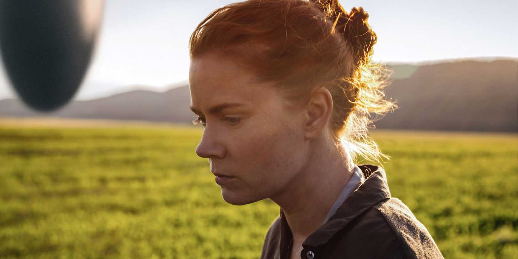 Amy Adams in a field in front of a Heptapod in Arrival.
