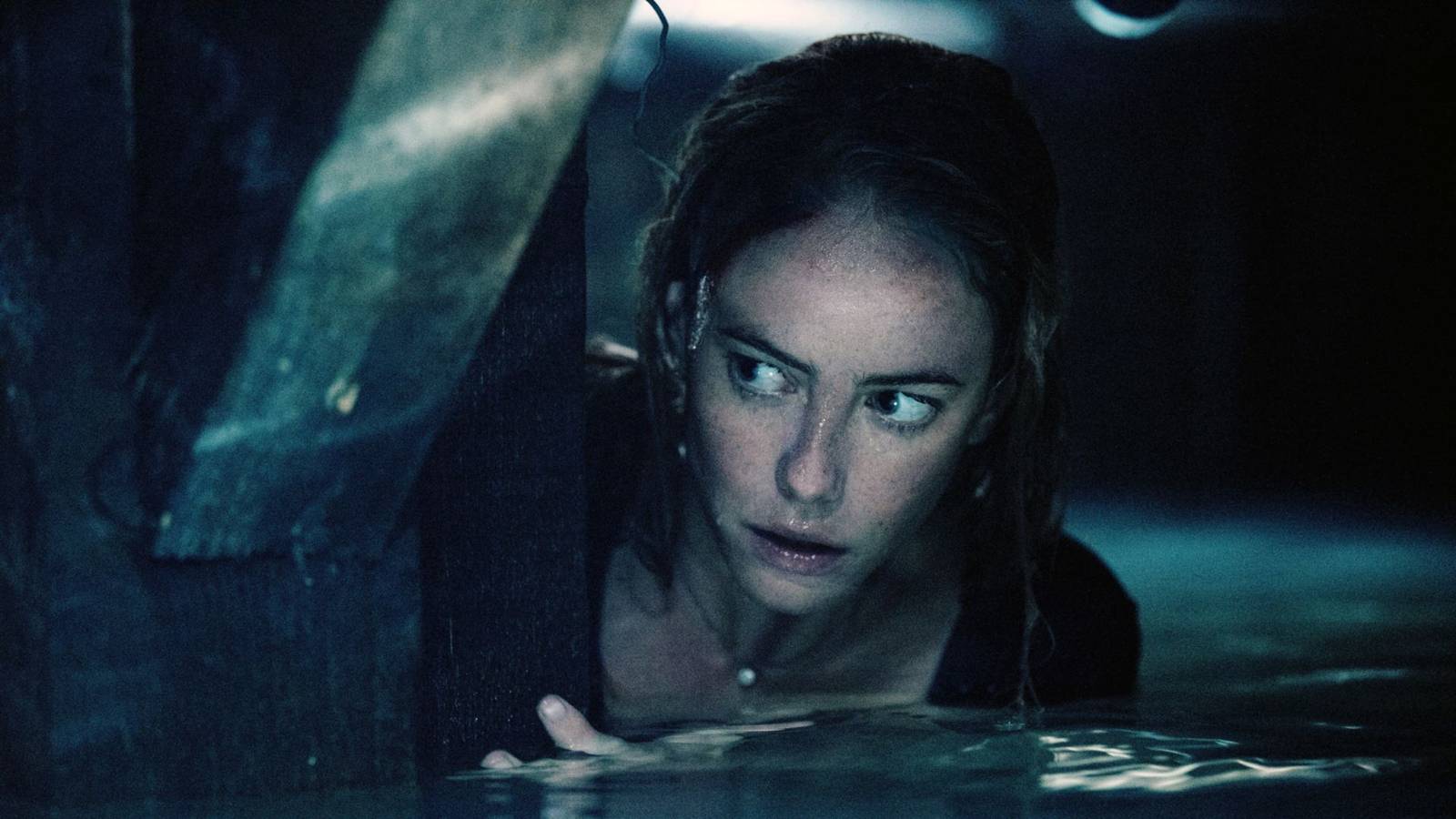 Sam Raimi's 2019 Survival Horror Crawl That Makes Netflix's Thrash Look ...