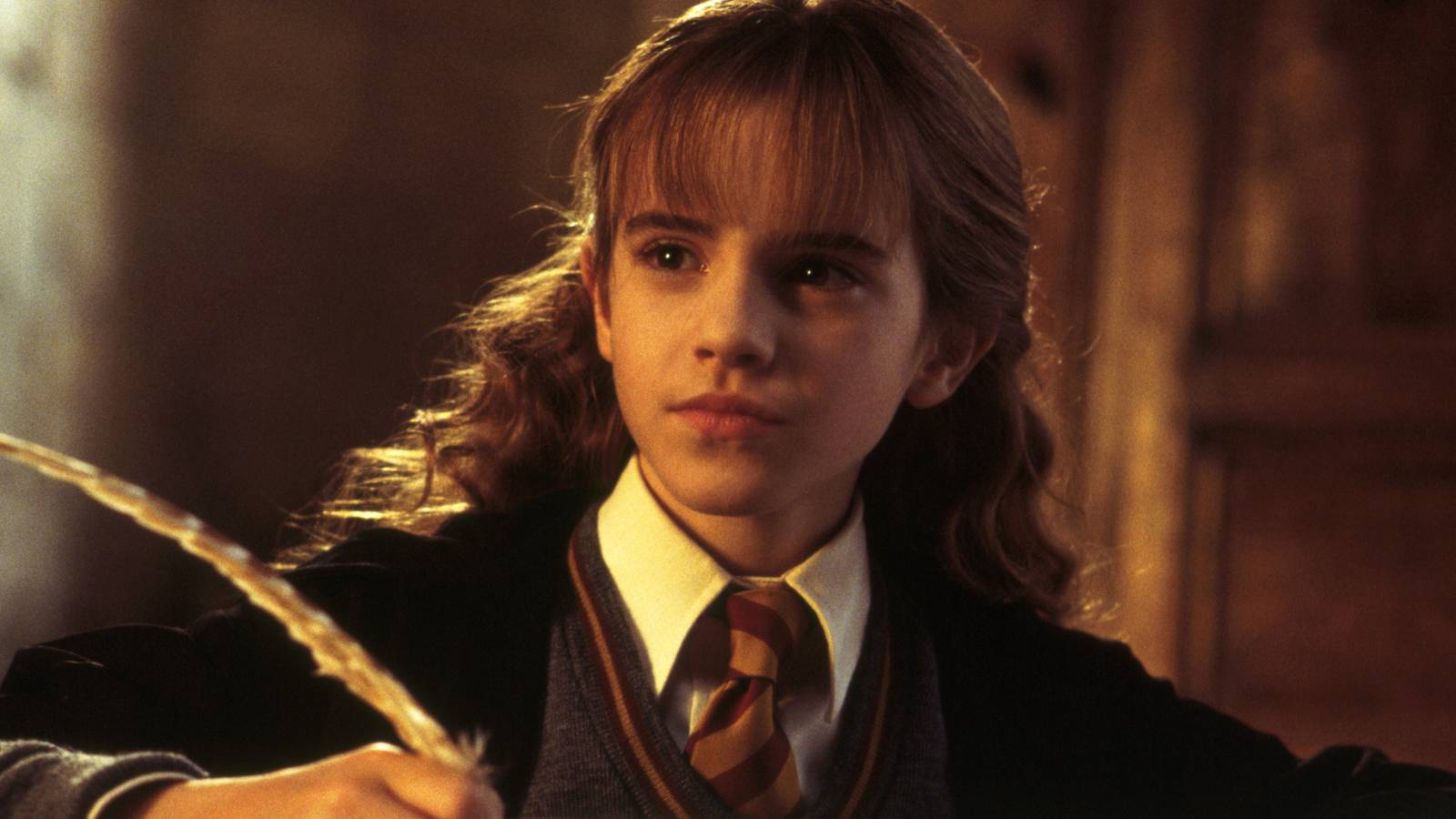 5 Harry Potter Characters Smarter Than Hermione Granger, Ranked
