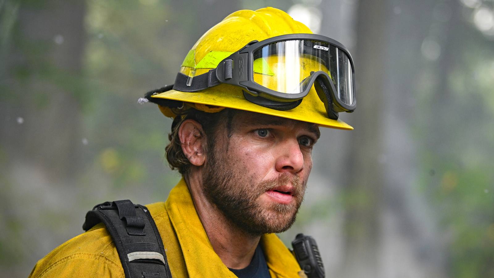 Fire Country Takes Notes From One Chicago Franchise for Next Spinoff Series