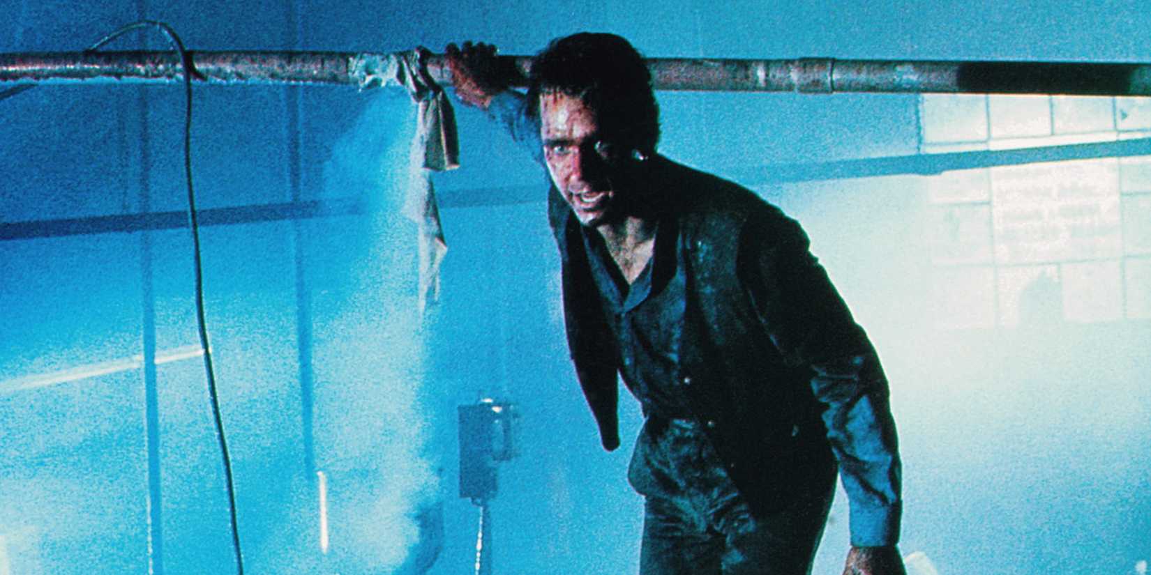 10 Killer Animal Movies To Watch After Primate