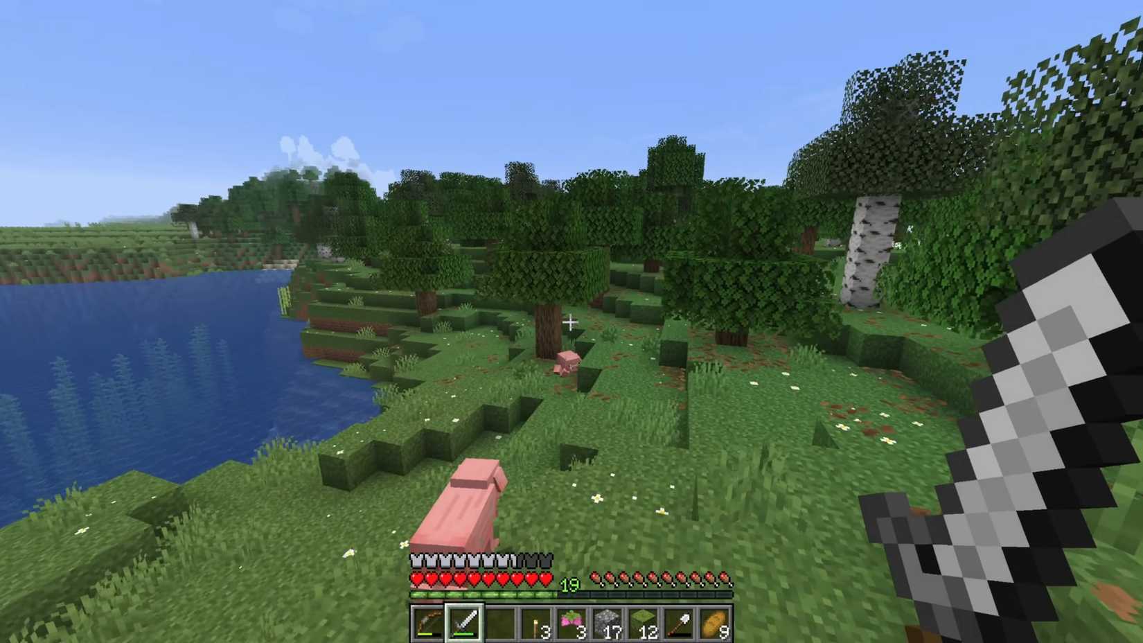 A Minecraft screenshot showing a large landscape containing some trees, water, and pigs