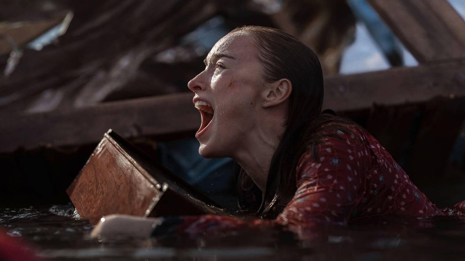 Netflix s Thrash Becomes The Most Watched Movie In The World netflix-s-thrash-becomes-the-most-watched-movie-in-the-world