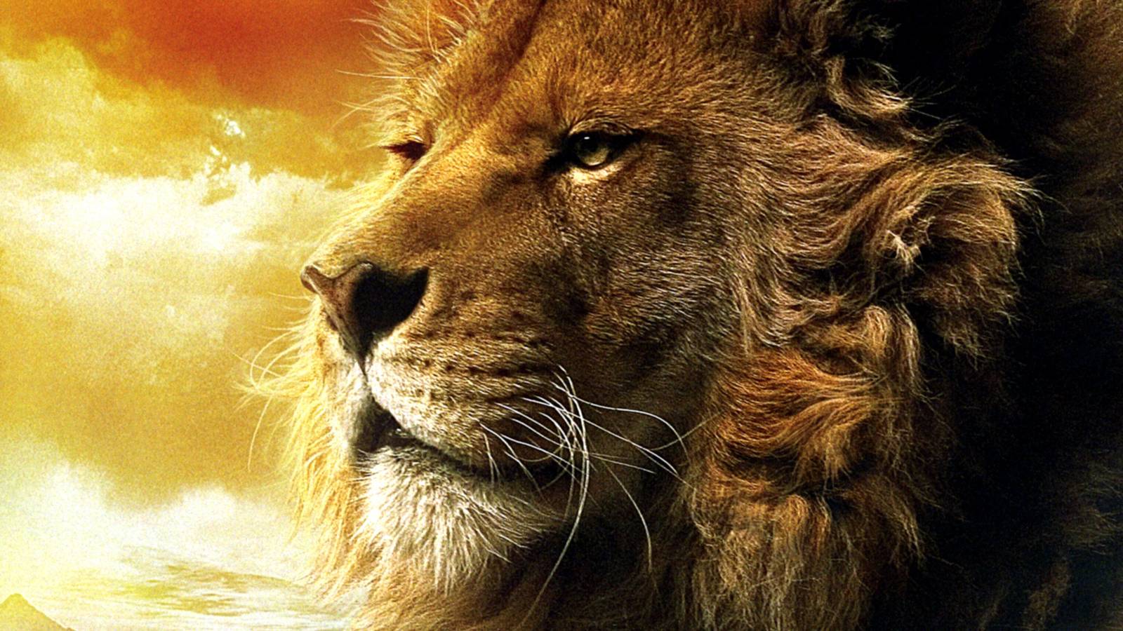 7 Things Netflix's Narnia Movie Must Learn From The Lord of the Rings