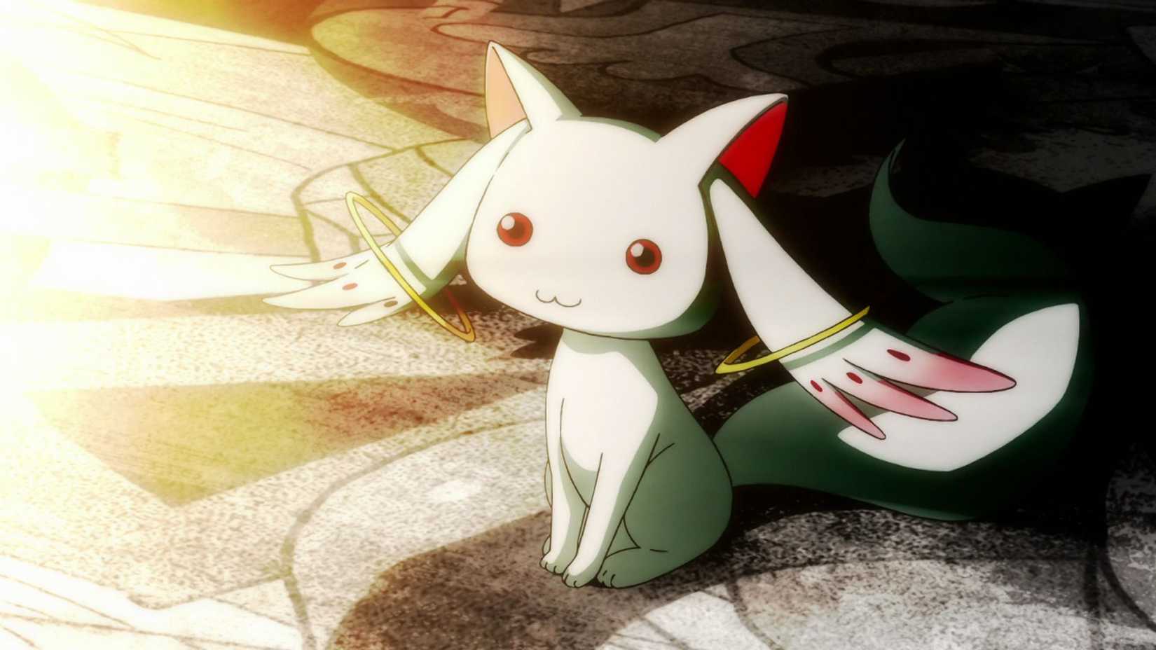 Kyubey est assis calmement à Puella Magi Madoka Magica