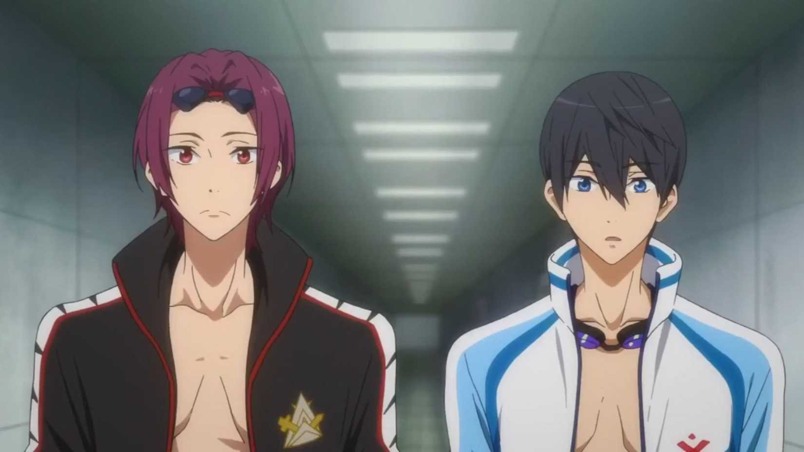 Rin et Haru dans Gratuit ! animés.