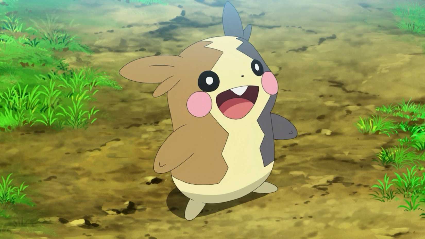 Every Pikachu Clone In Pokmon, Ranked by Cuteness