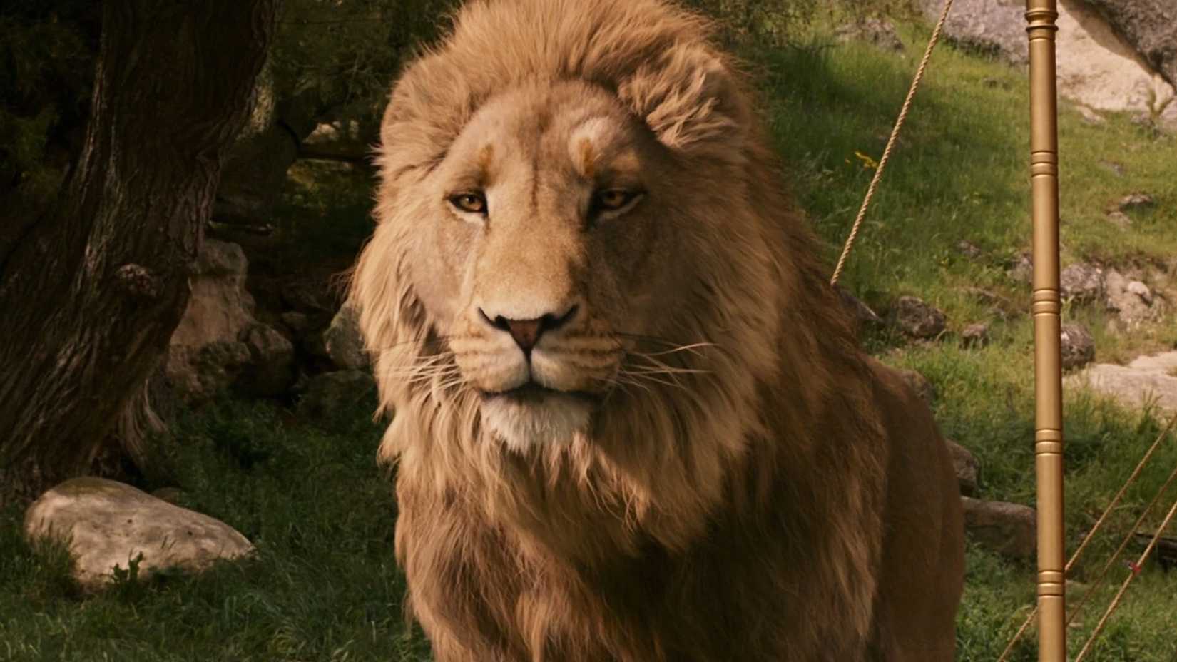 Aslan stands calmly in the chronicles of narnia.