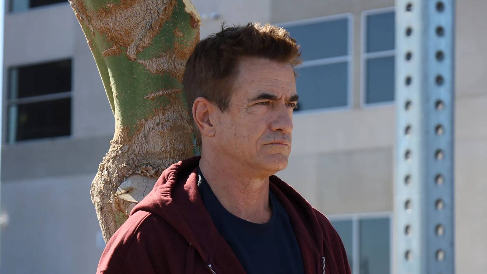 Dermot Mulroney's 'Predictable Revenge Thriller' Eyes No. 1 on Prime Video Despite Abysmal Reviews