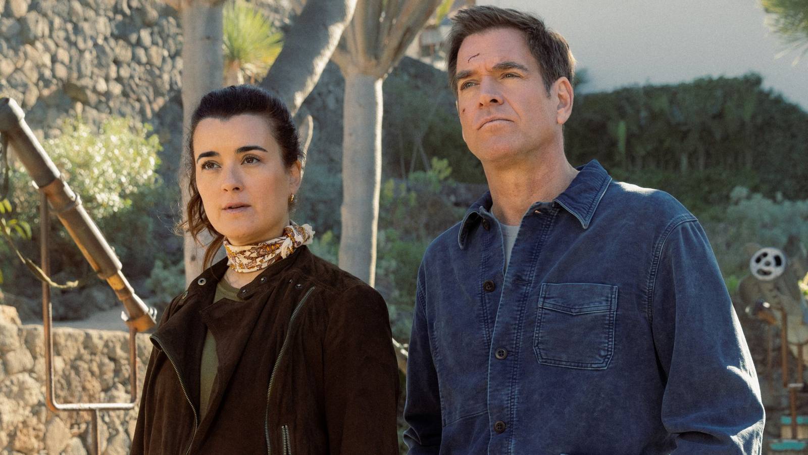 NCIS Star Confirms Big Return in Season 24 Won't Retcon Tony & Ziva Spinoff