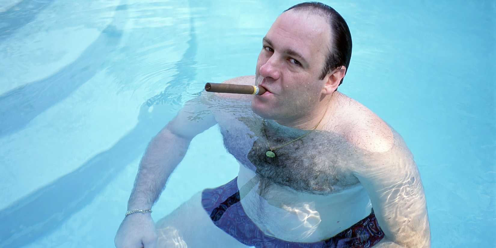 3 Years Before The Sopranos, Fox Canceled TV's Most Controversial Antihero