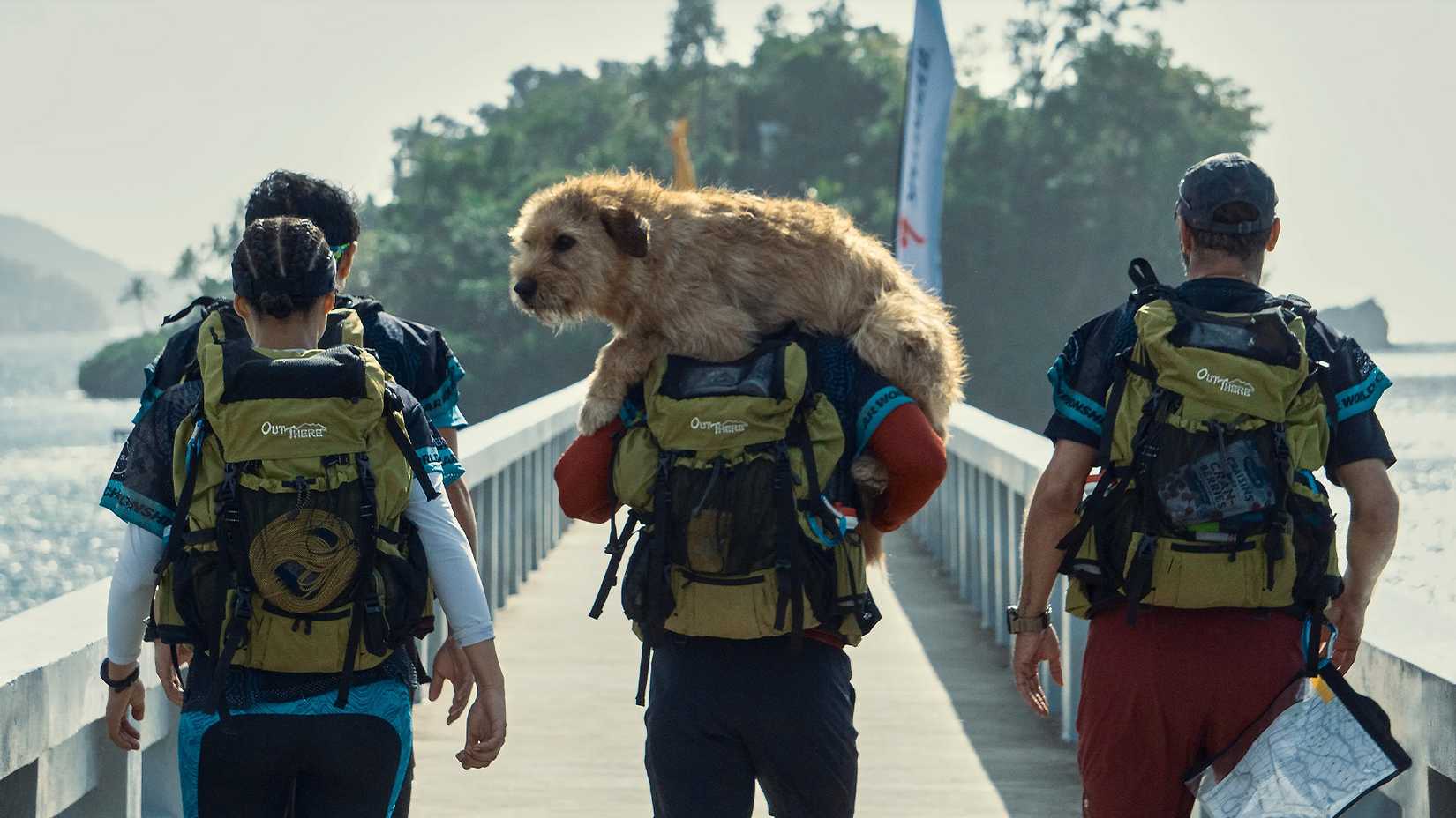 Mark Wahlberg's Arthur the King Finds New Audience on Netflix Two Years Later