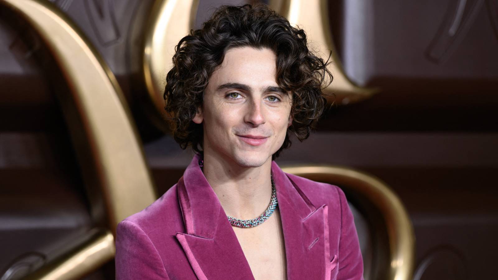 Timothée Chalamet’s Long-Awaited Fantasy Sequel Gets Disappointing Update ...