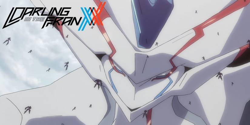 Strelizia Apus