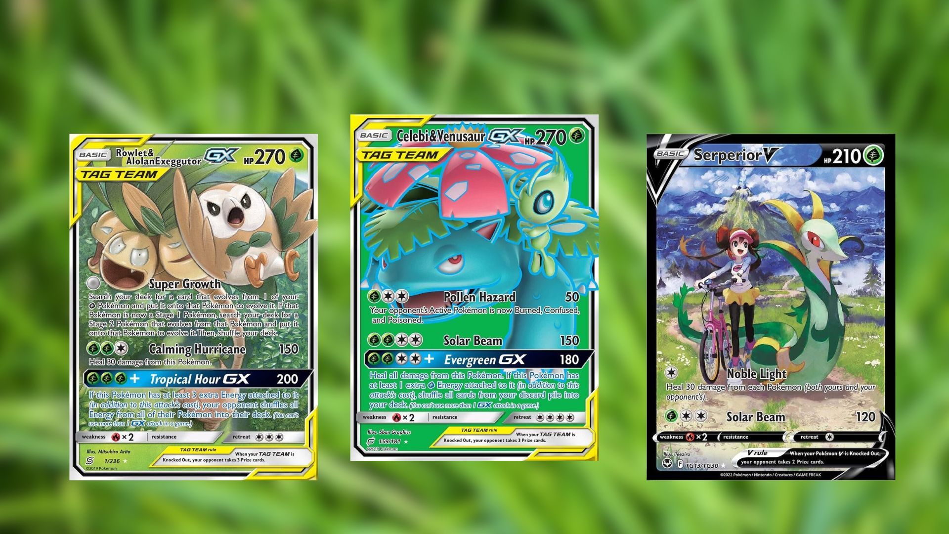 10 Most Expensive Grass-Type Pokemon Cards, Ranked by Price