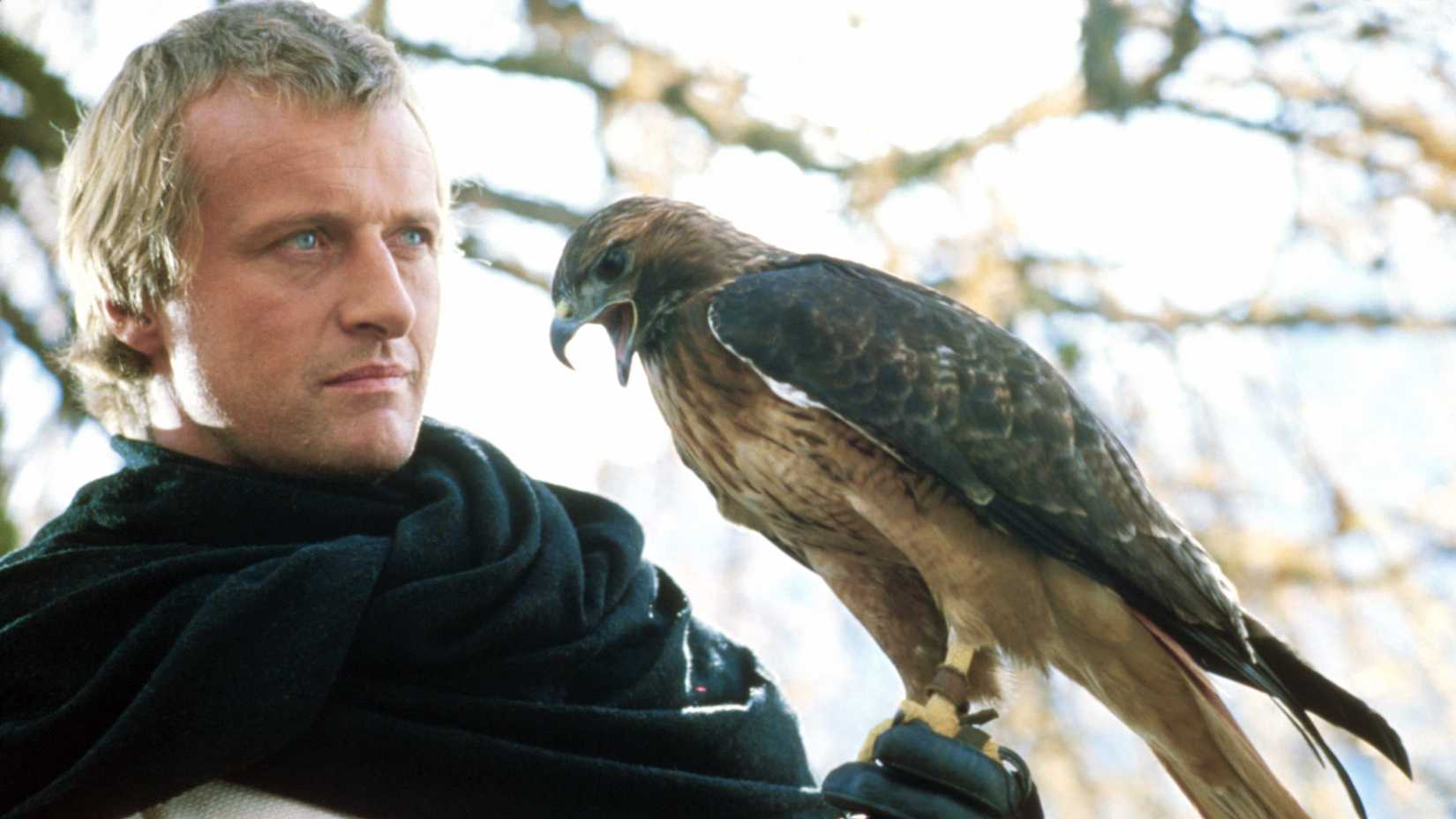 Etienne of Navarre in Ladyhawke