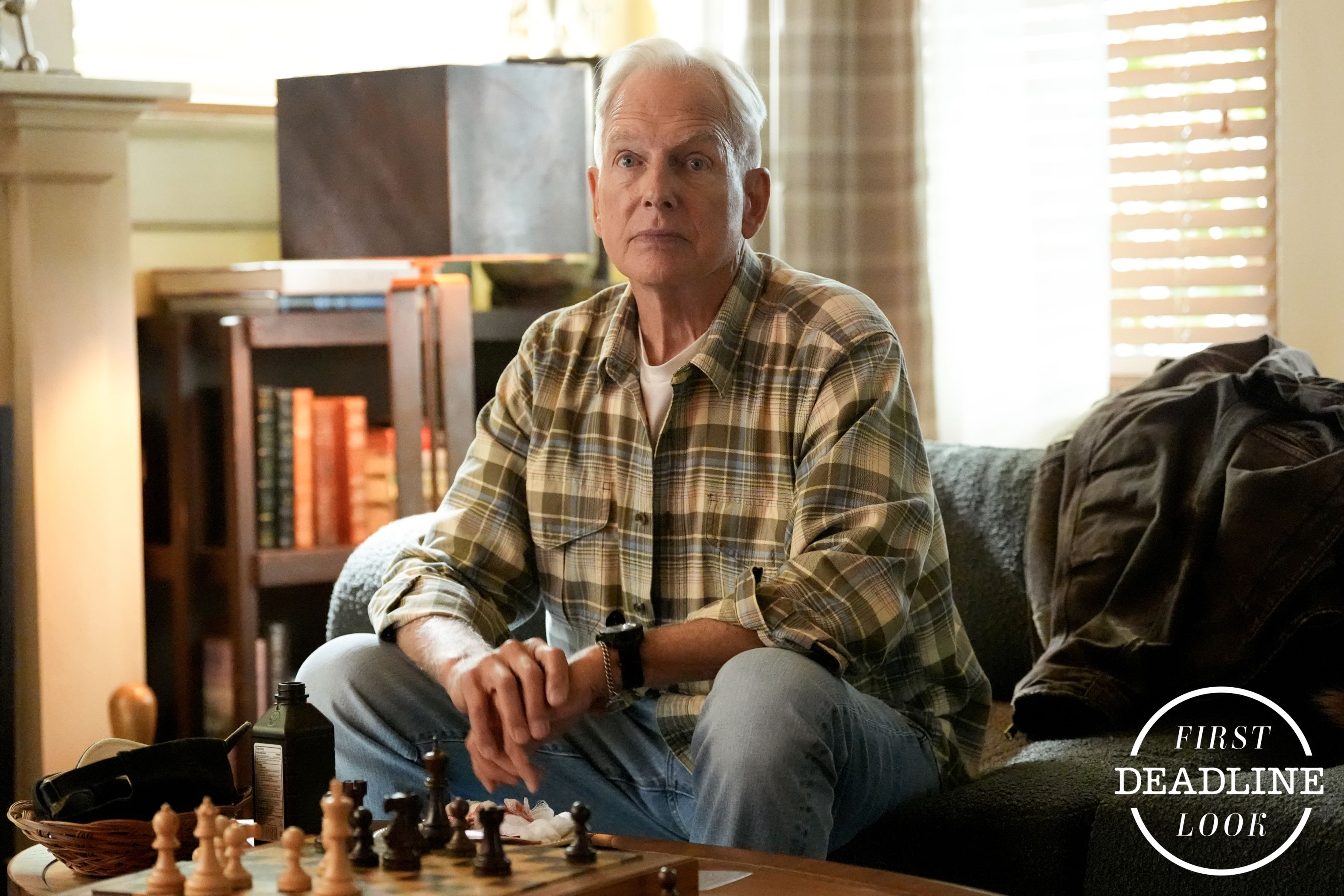 GibbsReturnFirstLook1