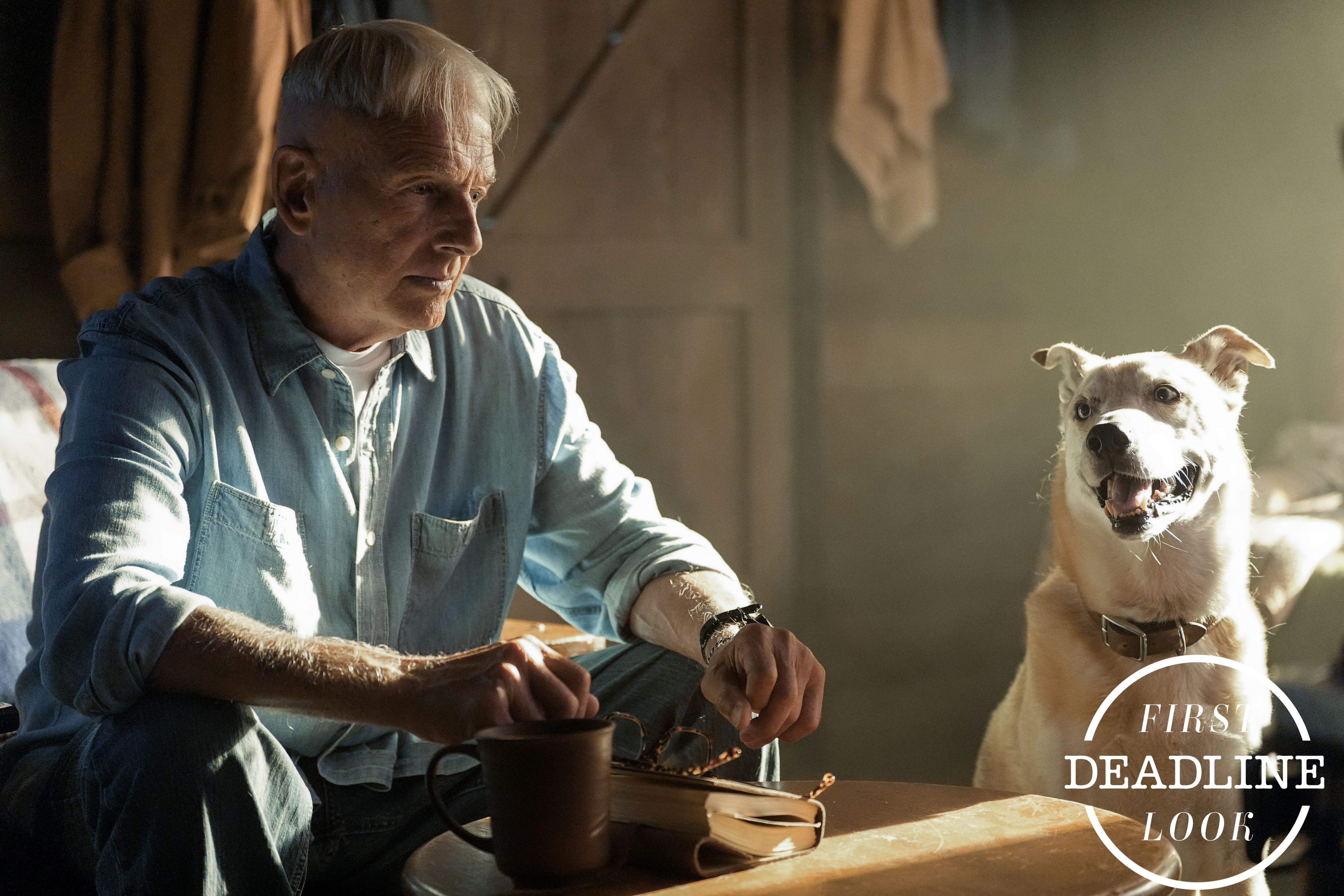 GibbsReturnFirstLook2