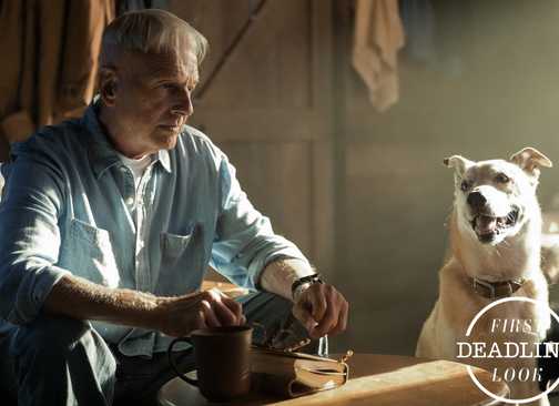GibbsReturnFirstLook2