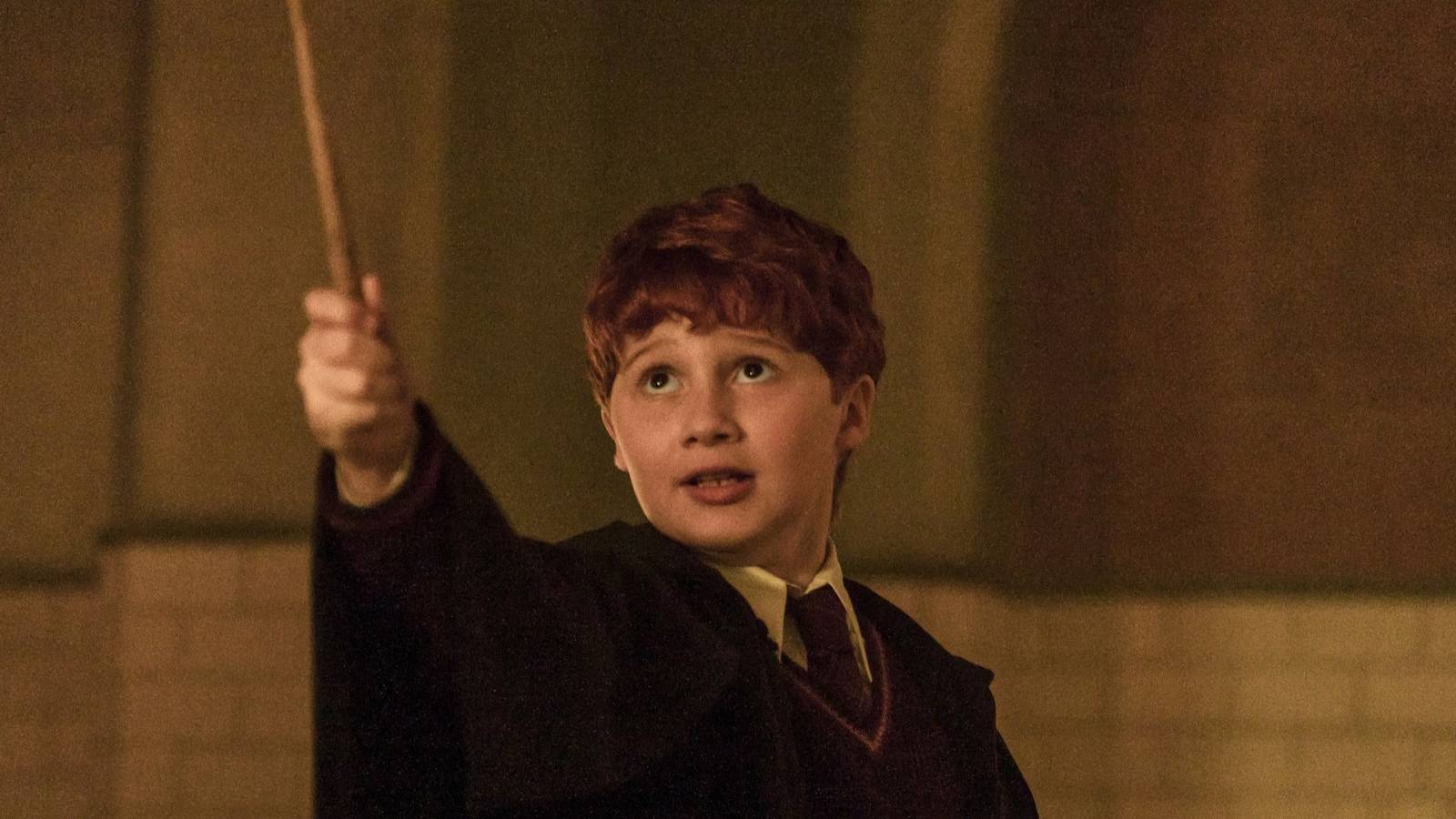 HBO's Harry Potter Confirms Character Omitted From Original Movies With New Casting Announcement