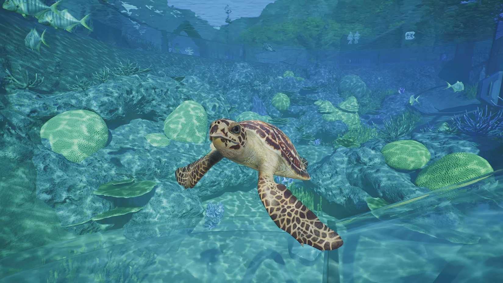 Planet Zoo 2 Turtles
