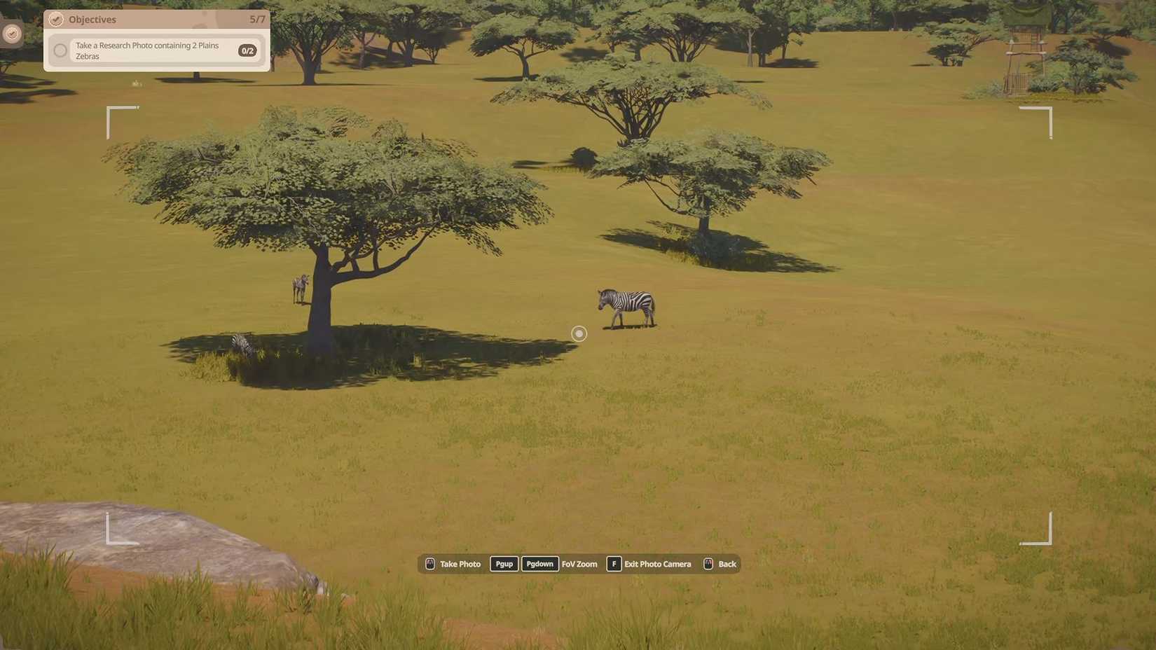Planet Zoo Zebra