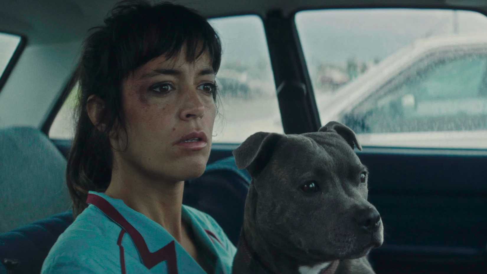 Vincent Must Die dog