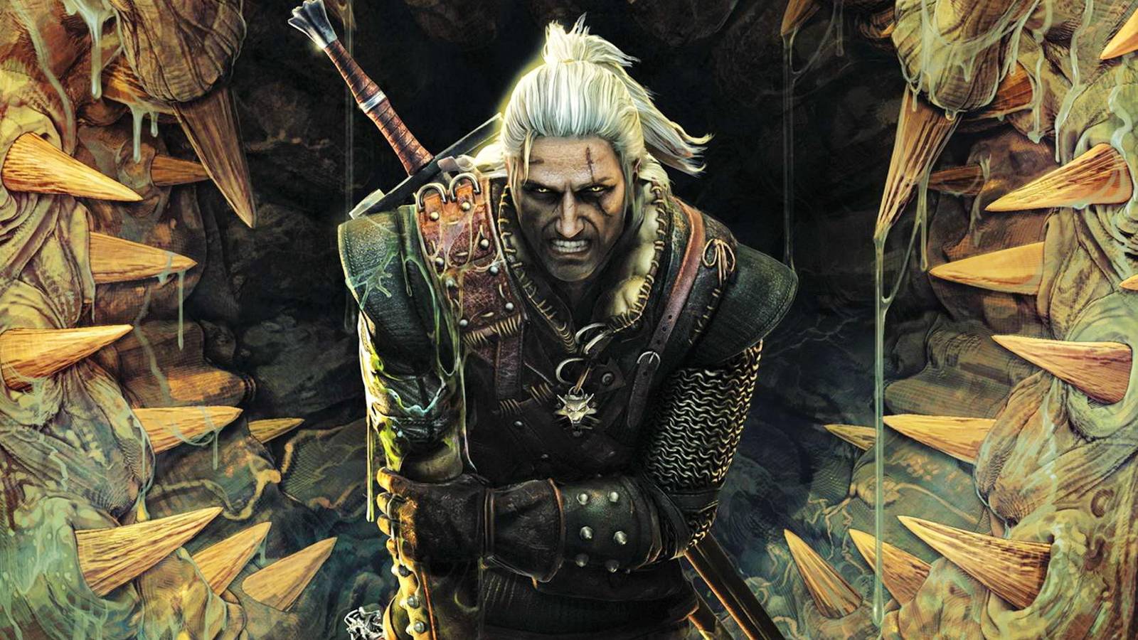 Every The Witcher Book, Ranked