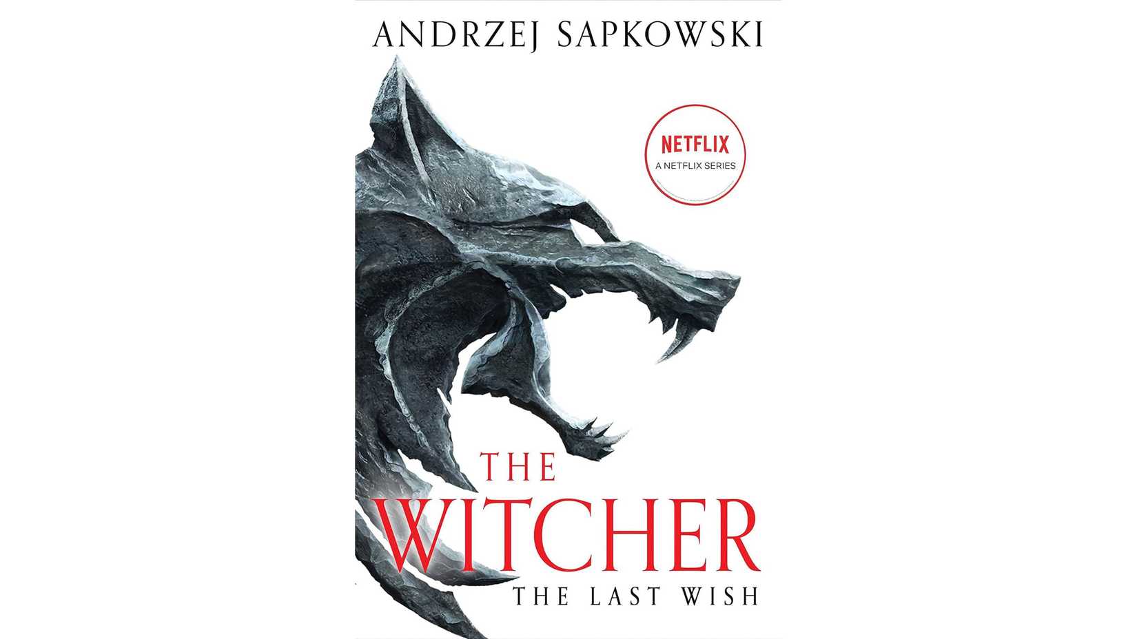 Every The Witcher Book, Ranked