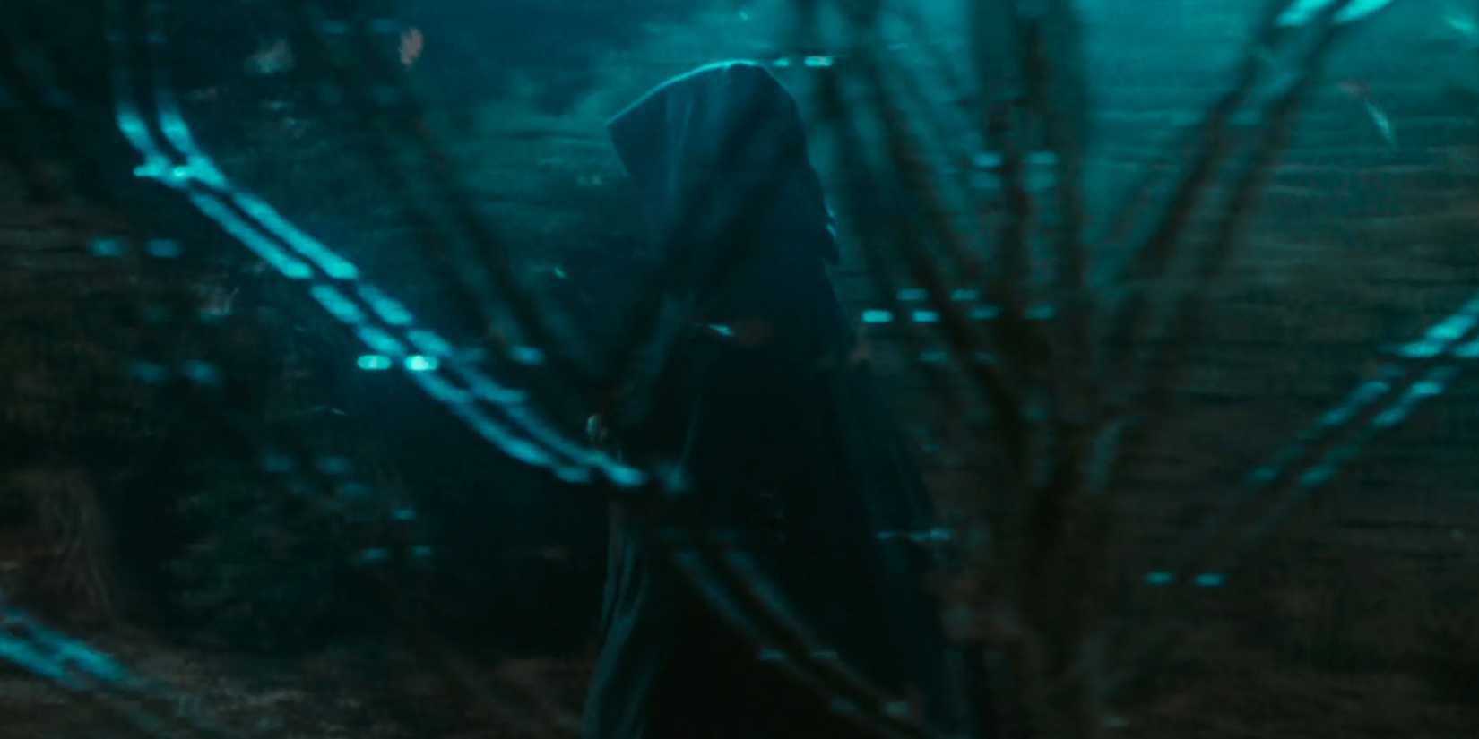 All 8 Voldemort Actors Ranked Before HBO’s Harry Potter Recast