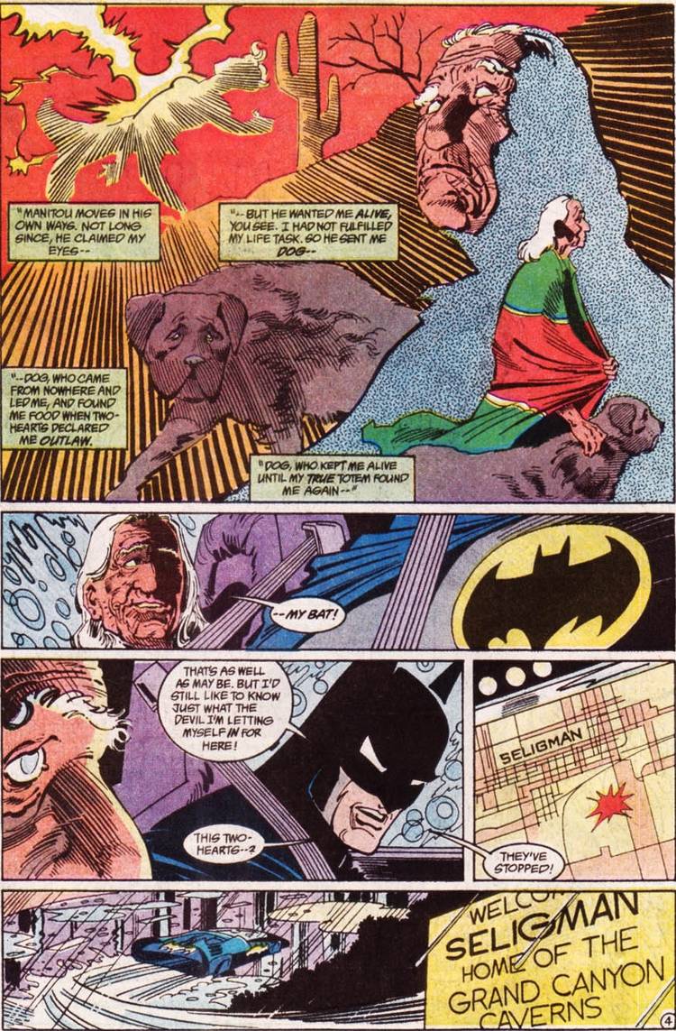 Batman Visit All 50 States
