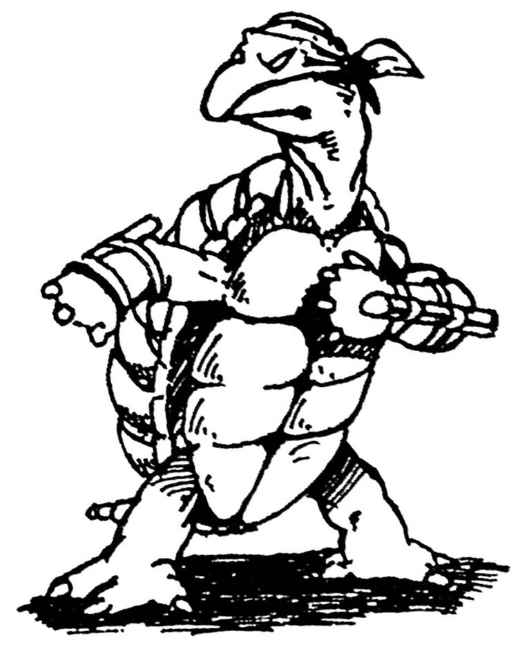Turtle Schmidt Three Decades of Turtle Power: Farago Recounts TMNT History