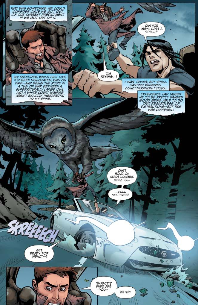 Jim Butcher's The Dresden Files: Wild Card #2