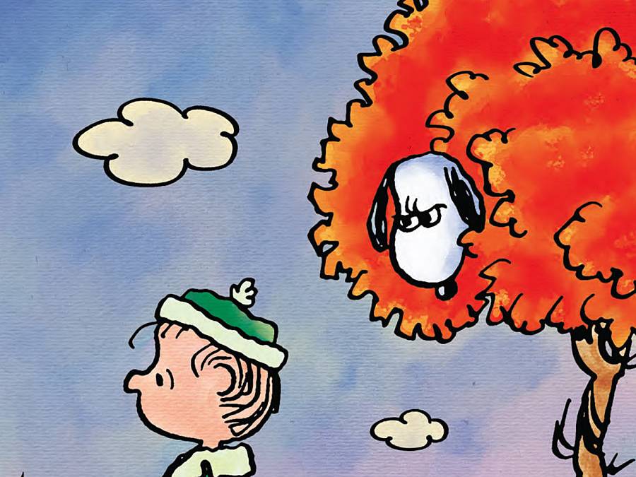 Peanuts #32