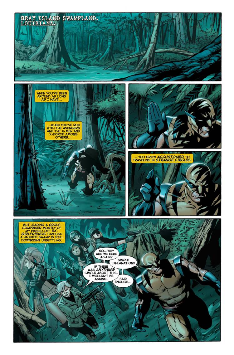 Wolverine #317