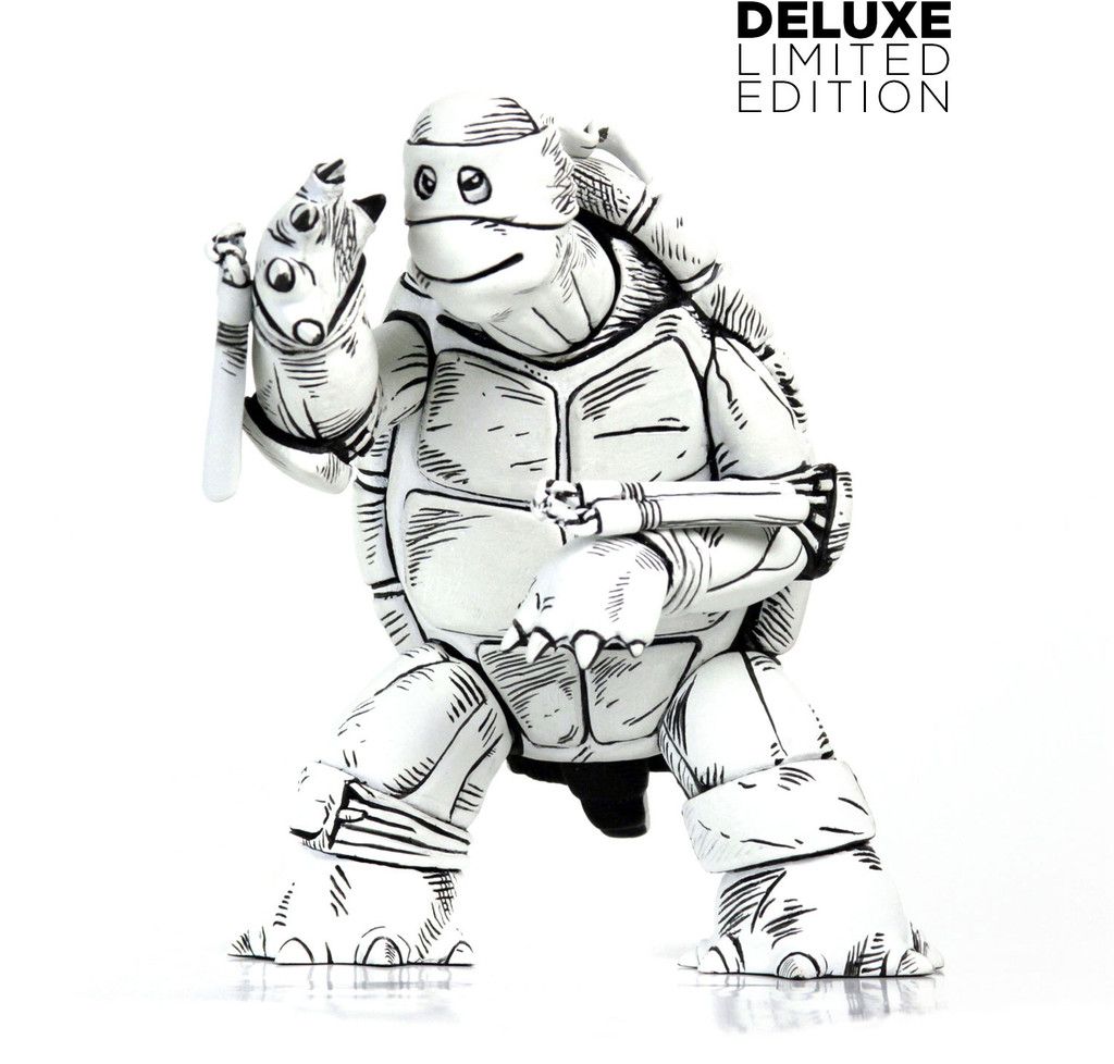 first-turtle6.jpg?q=50&fit=