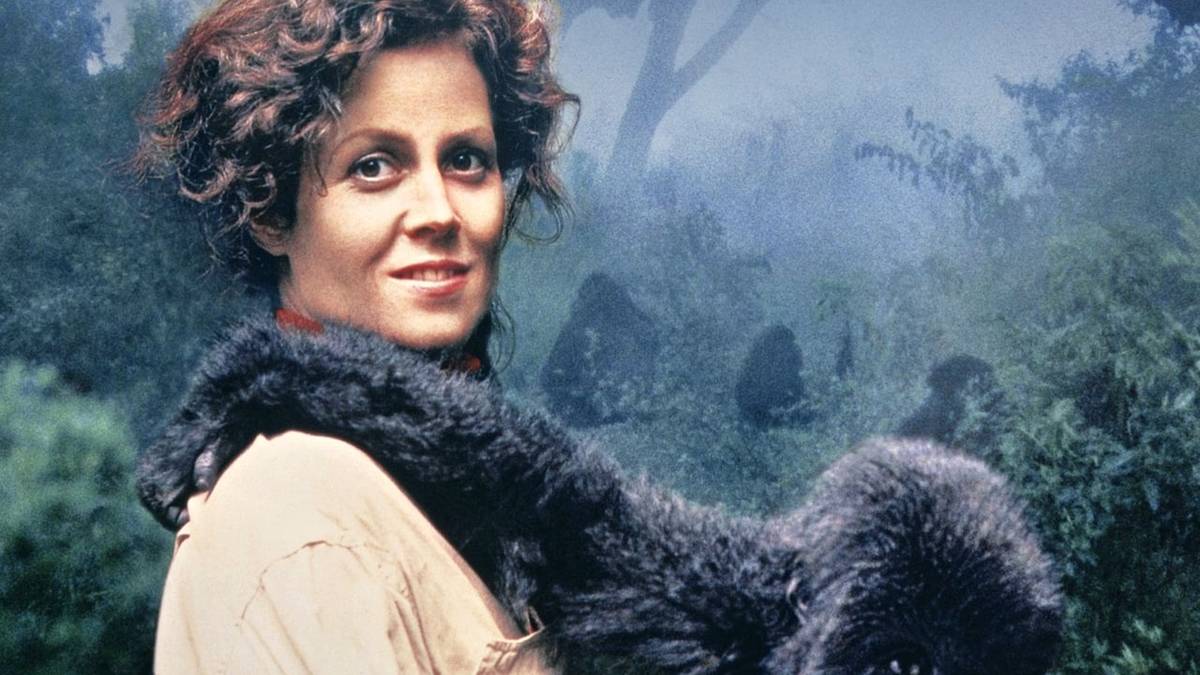 Gorillas in the Mist | CBR