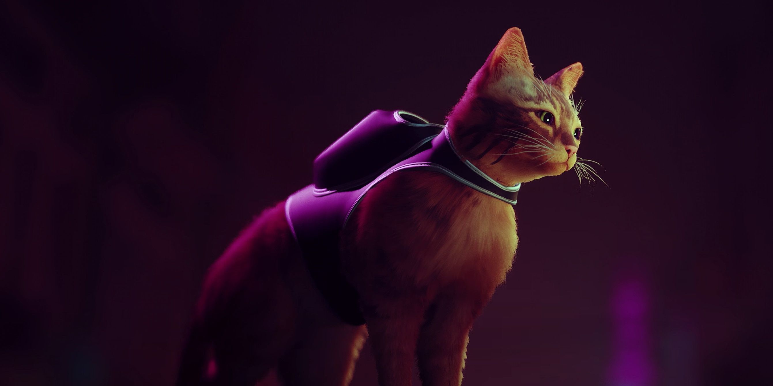 10 Best Cat Games on Steam