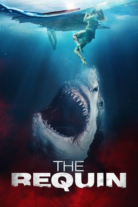 10 Movies to Watch If You Already Miss Shark Week