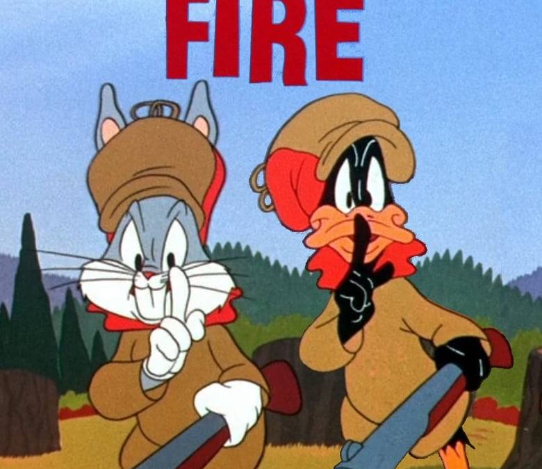 Rabbit Fire | CBR