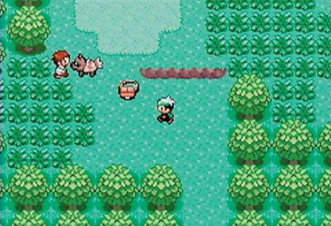 Pokescape Emerald 10 Best Pokémon to Take on Emerald’s Elite Four, Ranked