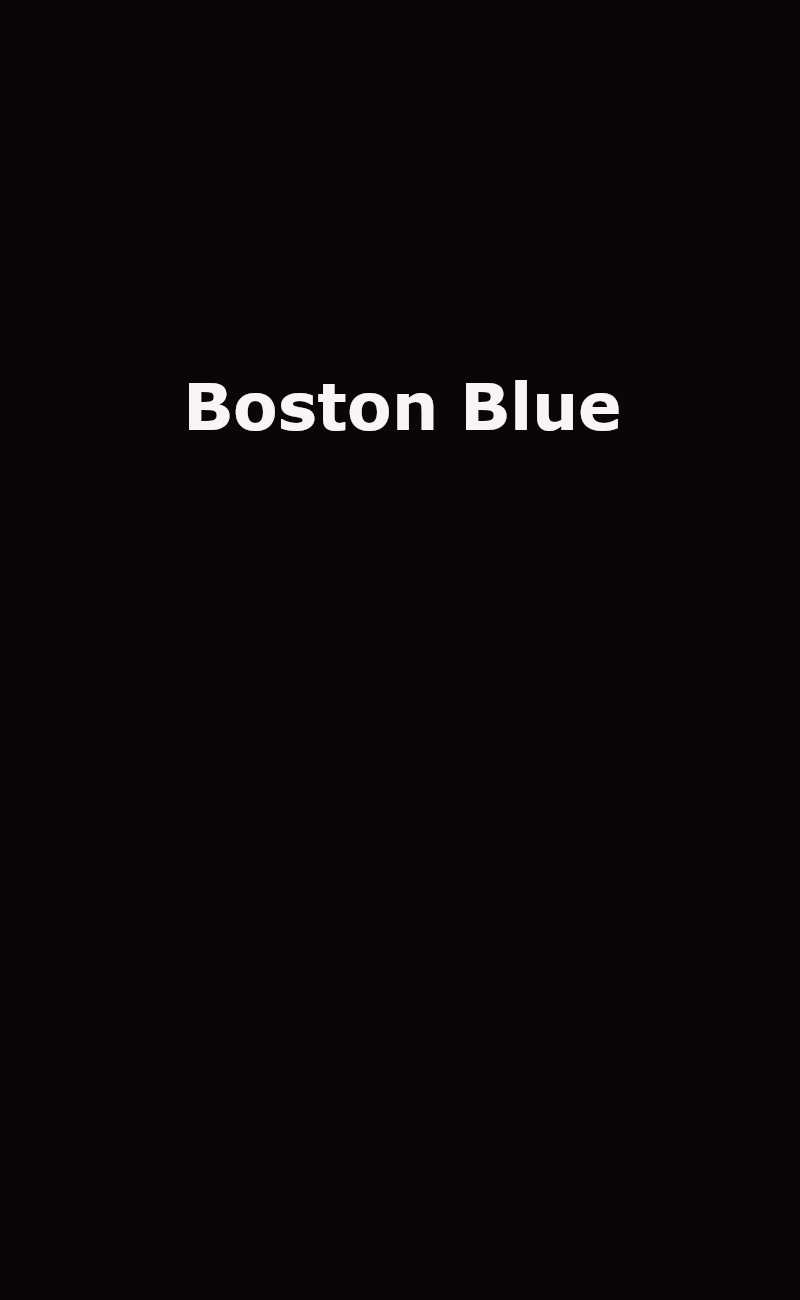 Cbs Boston Boston Blue: Donnie Wahlberg Confirms Return of a Fan-Favorite Blue ...