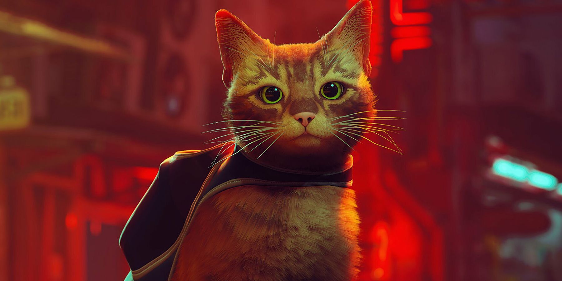 10 Best Cat Games on Steam
